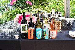 LOVE IN BLOOM AT WISTERIA HALL